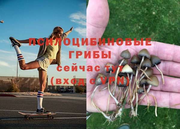 трава Богородицк