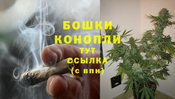 трава Богородицк